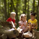Explorar o mundo natural: como promover a conexão da criança com a natureza
